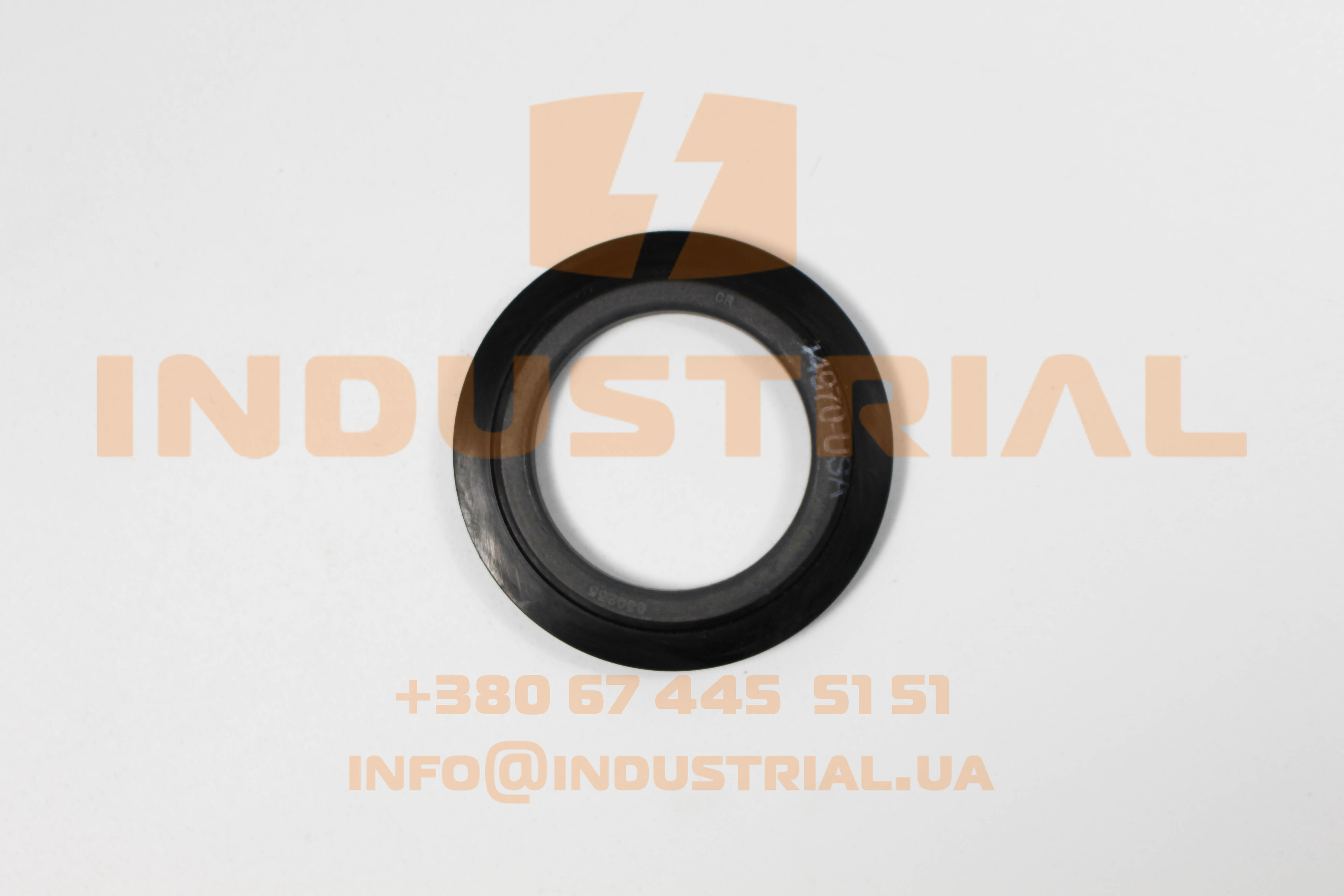 CHG 5231729 CHICAGO RAWHIDE SKF